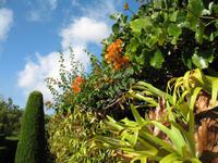 Besuch des Botanischen Garten 