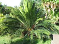 Besuch des Botanischen Garten 
