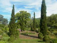 Blandy Garden