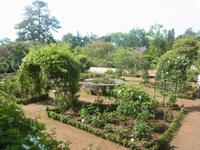 Blandy Garden