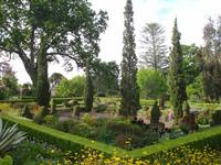 Blandy's Garden 