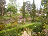 Blandy's Garden 