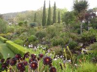 Blandy's Garden 