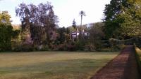 Blandy's Garden