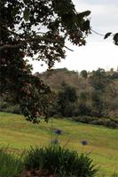 Blandy's Garten