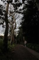 Blandy's Garten