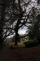 Blandy's Garten