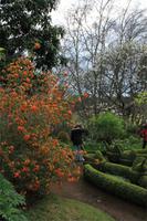 Blandy's Garten
