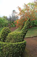 Blandy's Garten