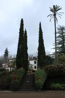 Blandy's Garten