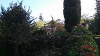 Blandy's Garten