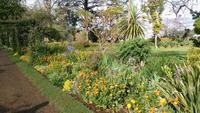 Blandy's Garten