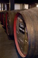 Blandy's Winelodge