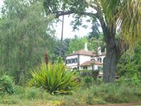 Blandys Garden