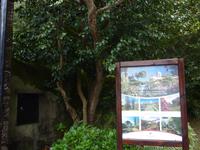 Blandys Garden