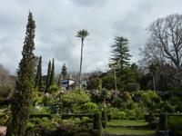Blandys Garden
