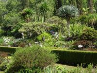 Blandys Garten 