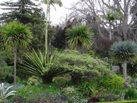 Blandys Garten in Funchal