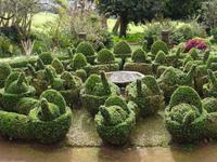 Blandys Garten in Funchal