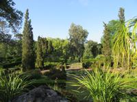 Blandys Garten