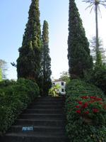 Blandys Garten