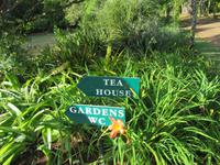 Blandys Garten