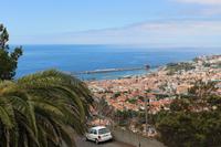 Blick auf Funchal aus dem Orchideen-Garten