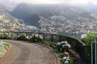 Blick auf Funchal vom Aussichtspunkt Pico dos Barcelos