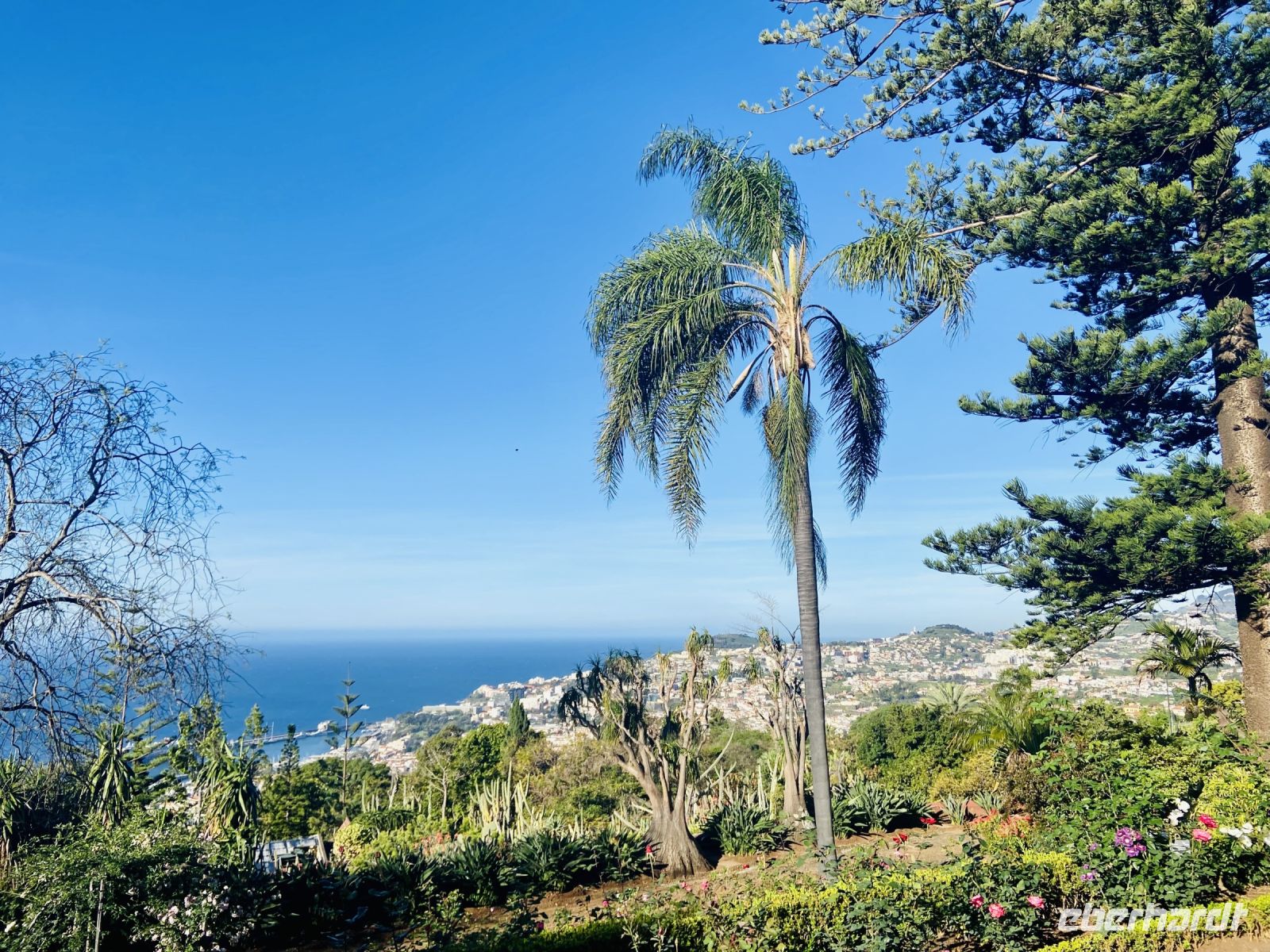 Blick auf Funchal