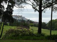 Blick auf Funchal