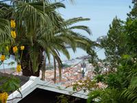 Blick auf Funchal