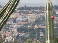 Blick auf Funchal