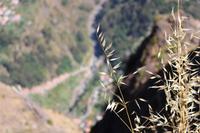 Blick in das Nonnental