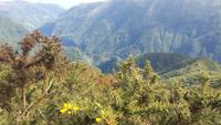 Blick vom Encumeada-Pass