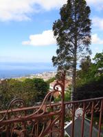 Blick von Monte auf Funchal I