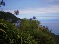 Blick zum Atlantic