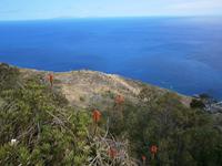 Blick zum Atlantic