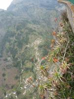 Blick zum Nonnental