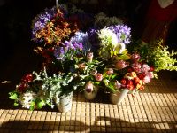Blumen…