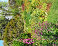 Blumenbeet