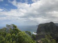 Blumeninsel Madeira