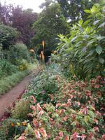 Blumenpracht
