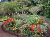 Blumenpracht