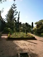 Botanische Garten