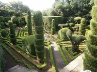 Botanische Garten