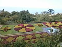 Botanische Garten