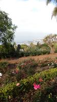 Botanischer  Garten