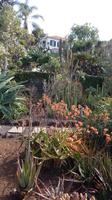 Botanischer  Garten