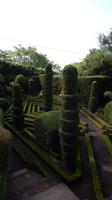Botanischer  Garten