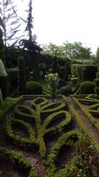 Botanischer  Garten
